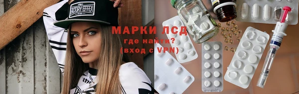 spice Елизово