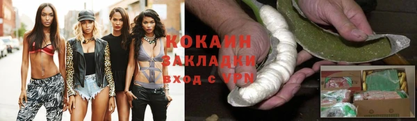 дурь Ельня
