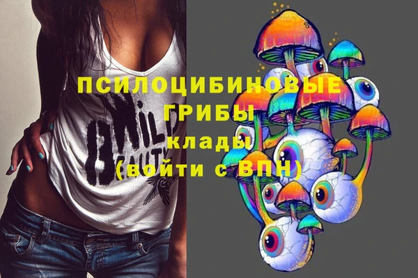 spice Елизово
