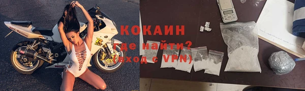 дурь Ельня
