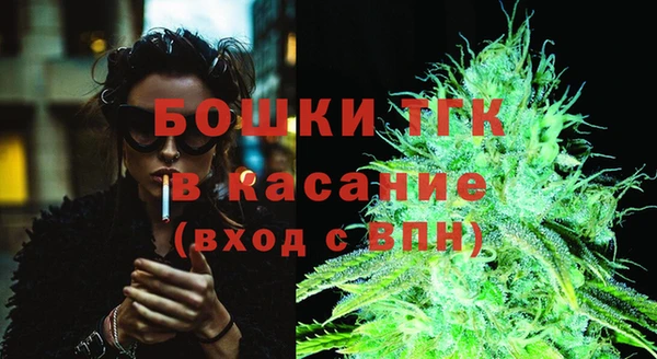 дурь Ельня