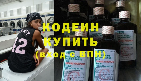 дурь Ельня