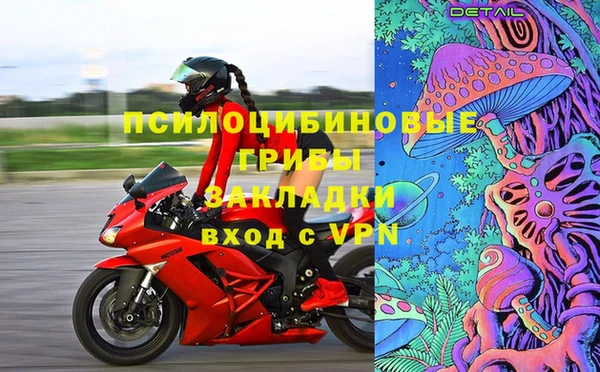 дурь Ельня