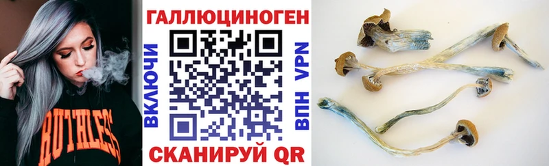 Купить где  Гусев  Галлюциногенные грибы MAGIC MUSHROOMS 